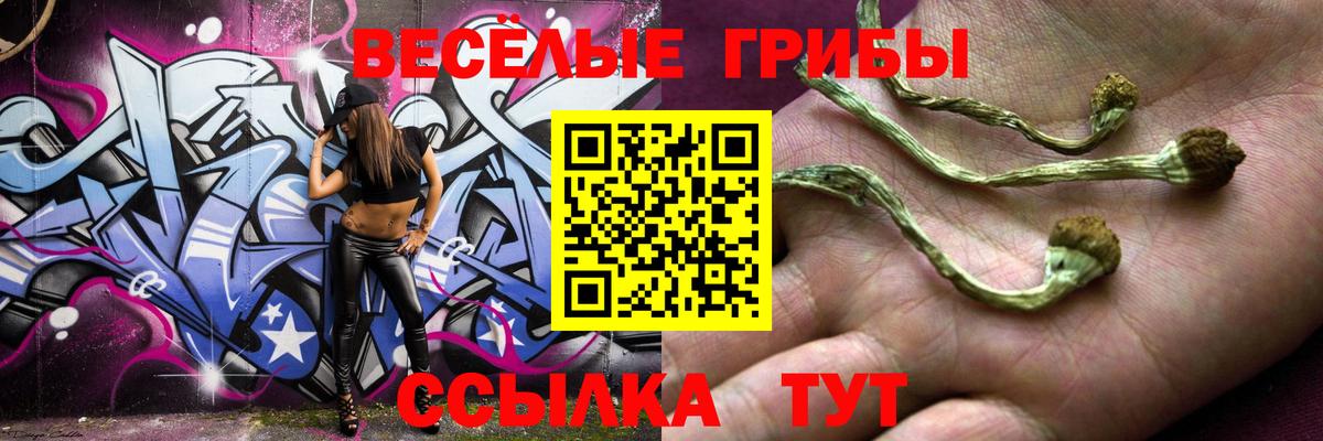 Галлюциногенные грибы Magic Shrooms Ивантеевка