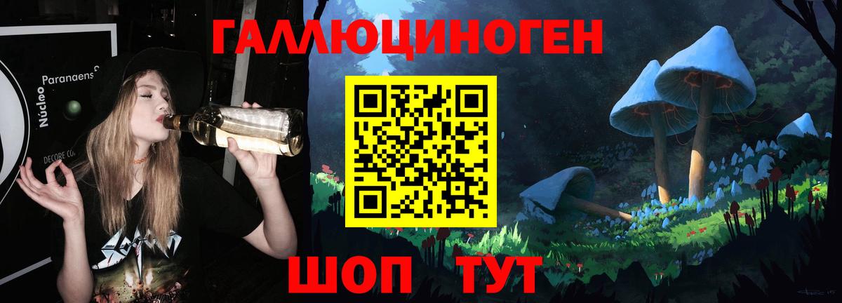 дарнет шоп  Галлюциногенные грибы Psilocybe  Ивантеевка  Вход с VPN  Псилоцибиновые грибы Psilocybine cubensis 